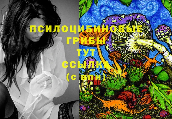 ECSTASY Богородицк