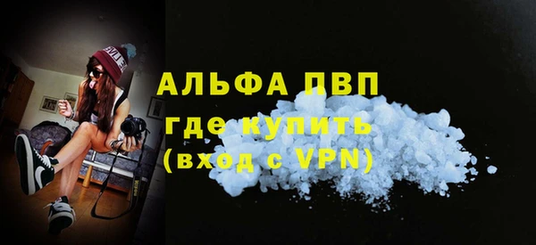 крисы Анжеро-Судженск