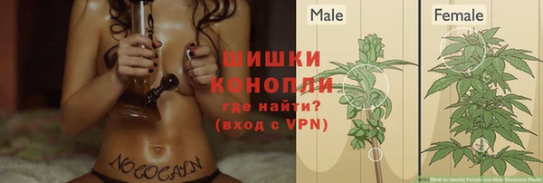 ECSTASY Богородицк