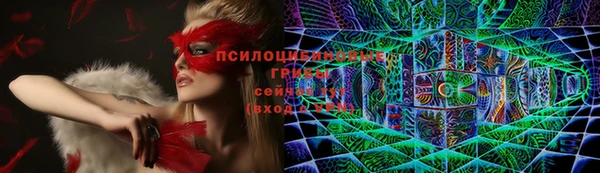 ECSTASY Богородицк
